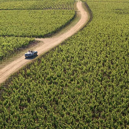 Cordeillan-bages Pauillac