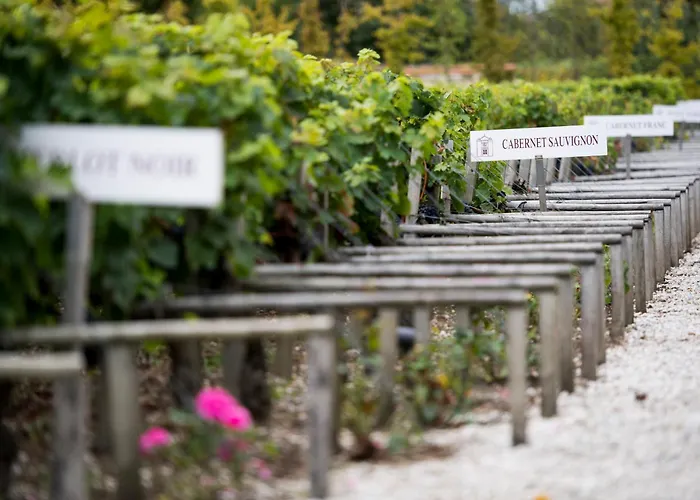 Château Cordeillan-bages Hotel